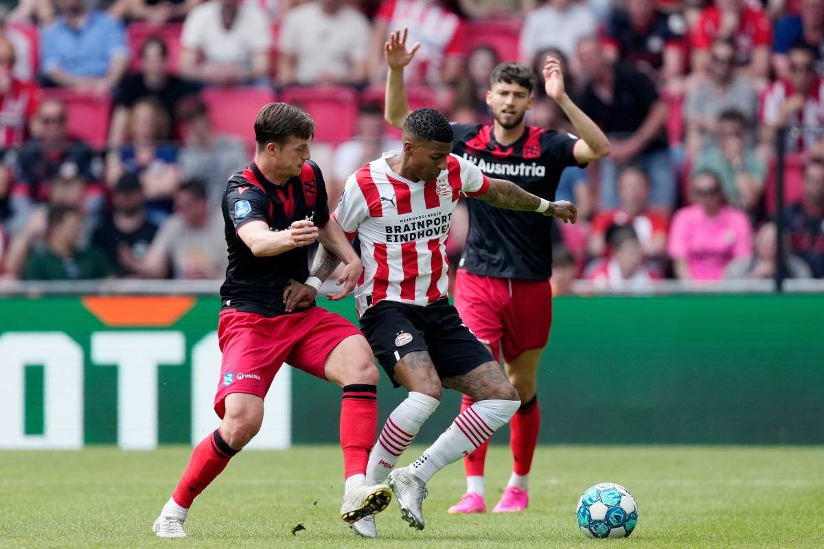 清晰的照片 清晰的照片