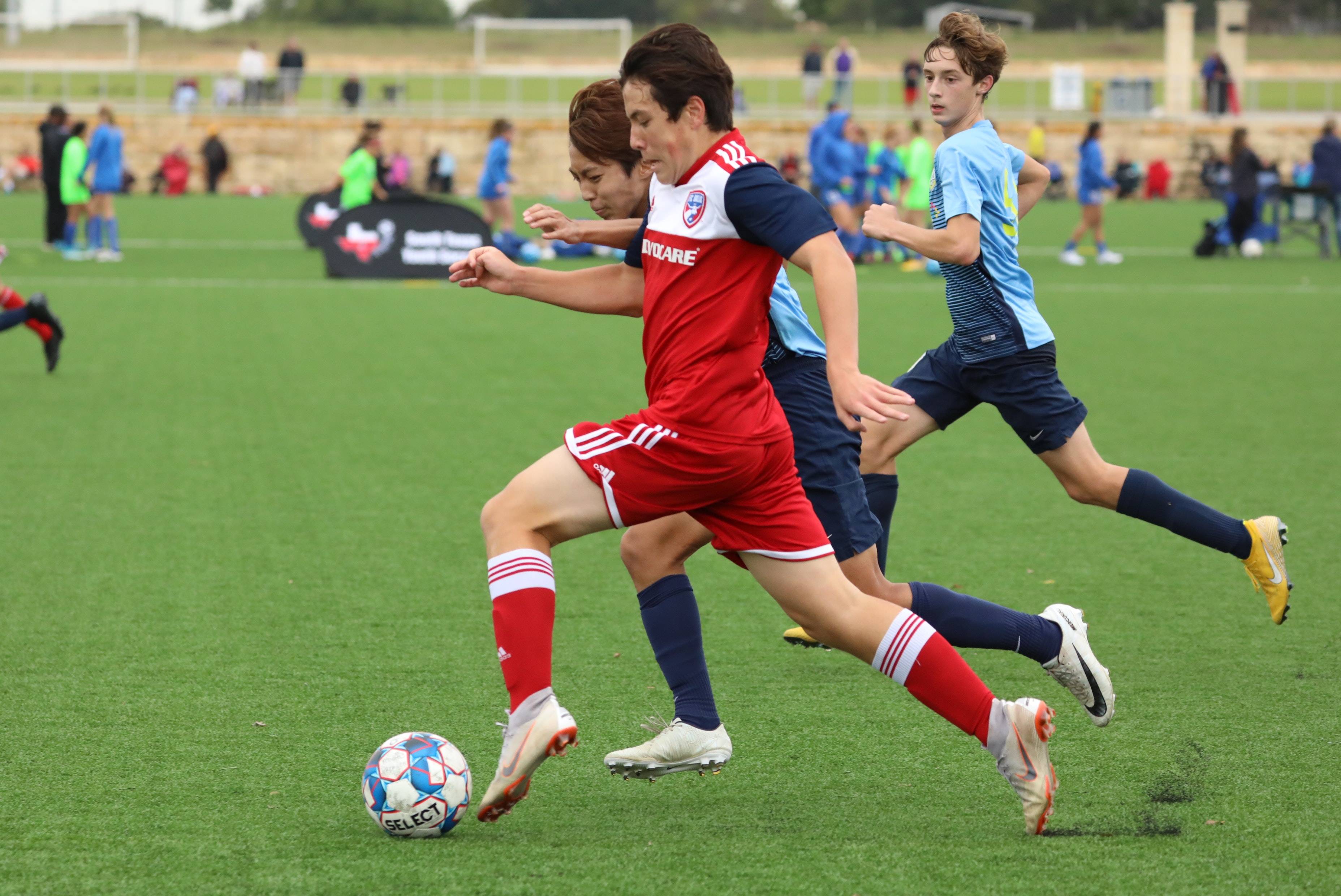 莫兰特的综 莫兰特的综