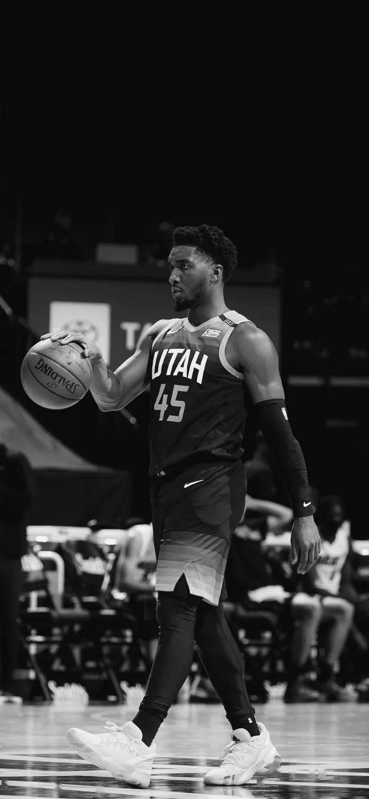 与生命韧性 与生命韧性